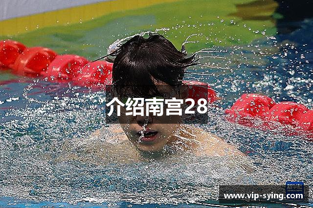 介绍南宫28